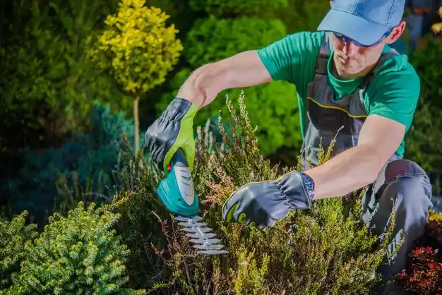 landscaping services Findlay